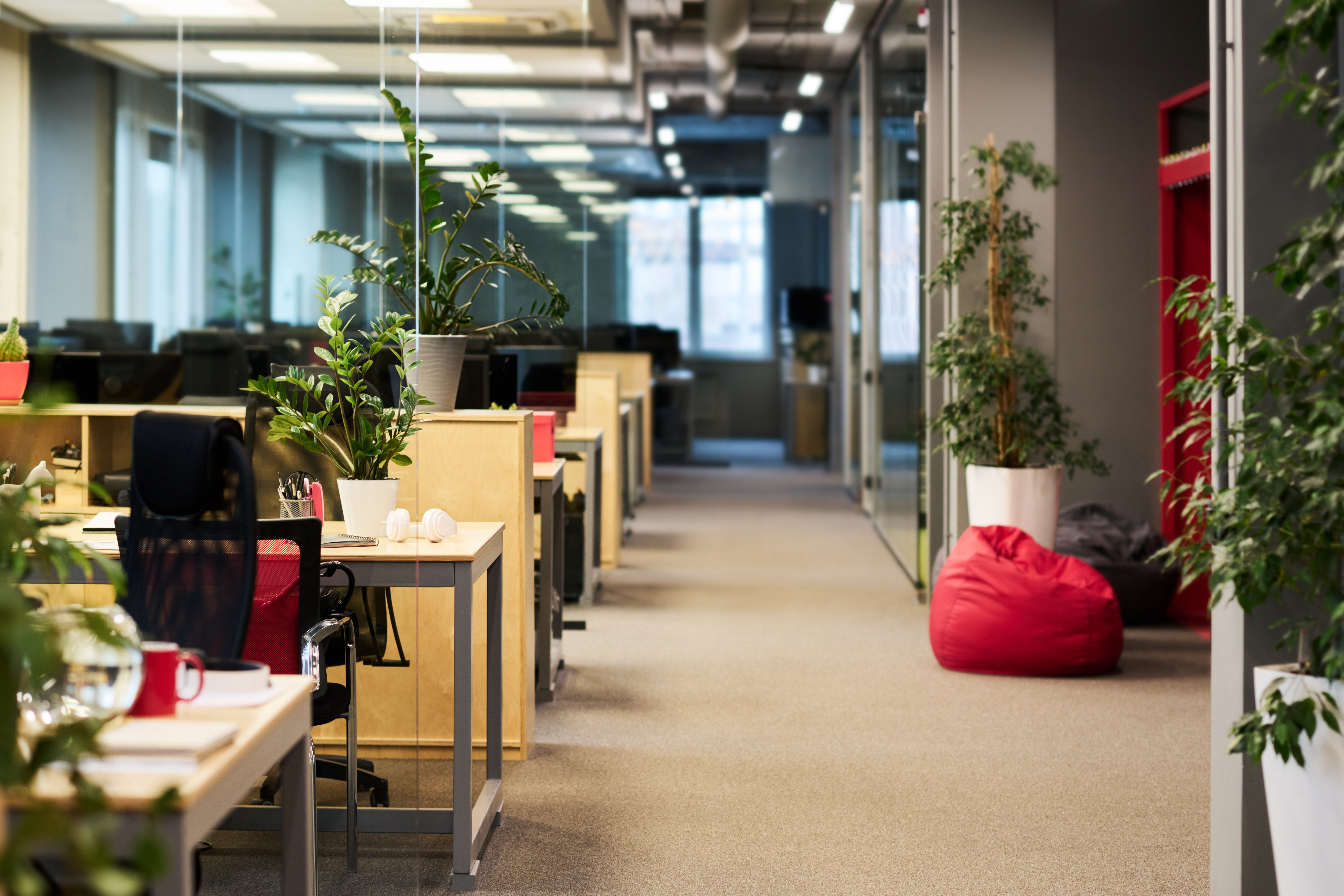 office fitout